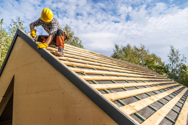 Best Storm Damage Roof Repair  in Diberville, MS
