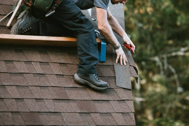 Best Flat Roof Repair Services  in Diberville, MS
