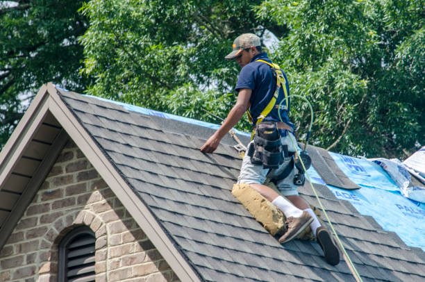 Best Metal Roofing Contractor  in Diberville, MS